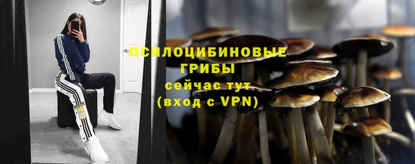 мескалин Алексин