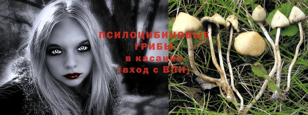 мескалин Алексин