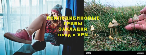 мескалин Алексин