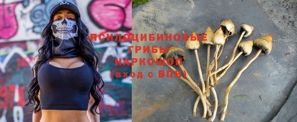 винт Алексеевка