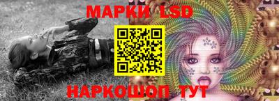 шишки Абакан