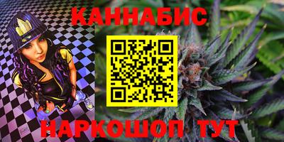 шишки Абакан