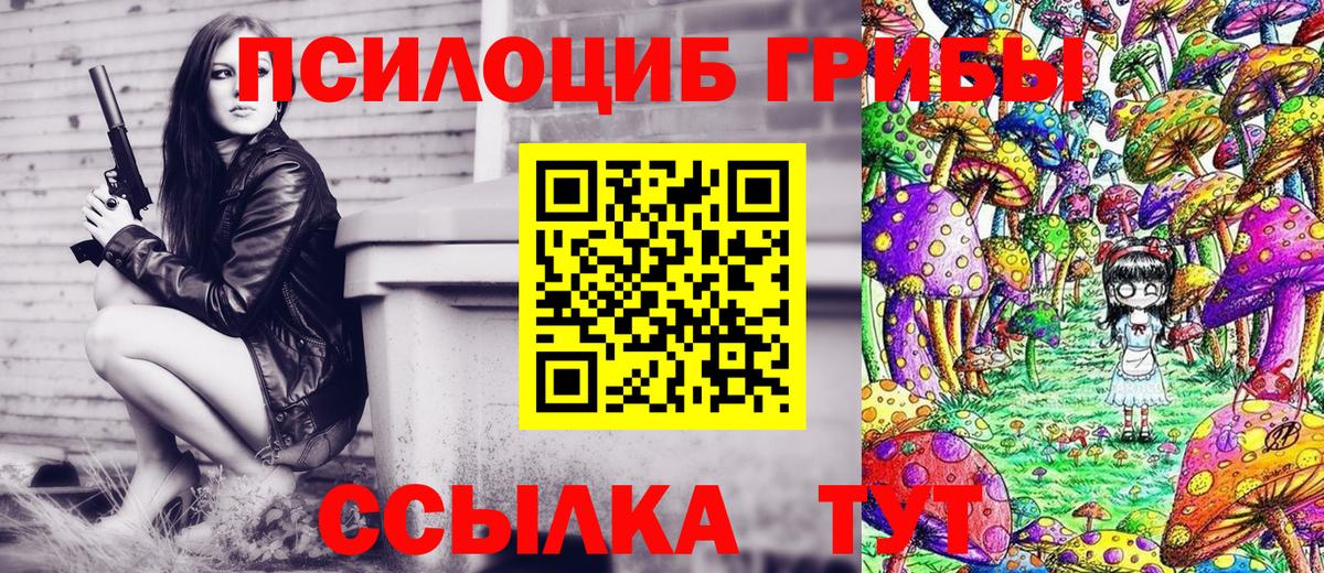 Псилоцибиновые грибы Psilocybine cubensis Вологда