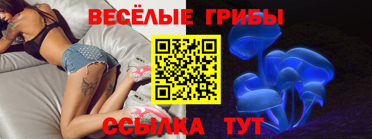 Псилоцибиновые грибы Psilocybine cubensis  Псилоцибиновые грибы Psilocybine cubensis  Вологда  Вход с VPN 
