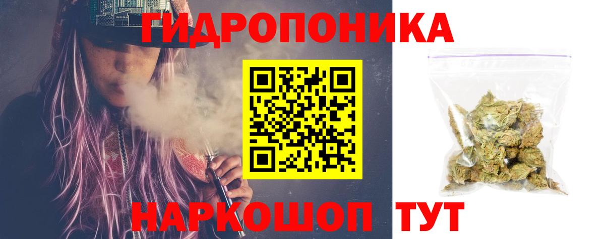Вологда  Бошки Шишки VHQ  Вход с VPN  Бошки Шишки план 